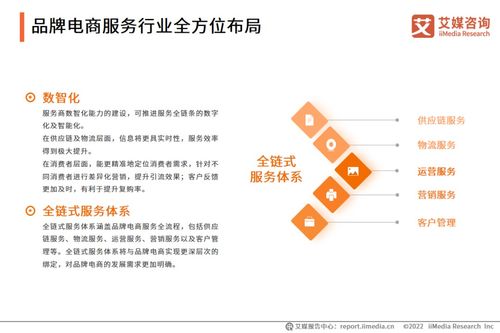 2022年中國品牌電商服務行業(yè)研究報告 物流信息咨詢服務的崛起與趨勢